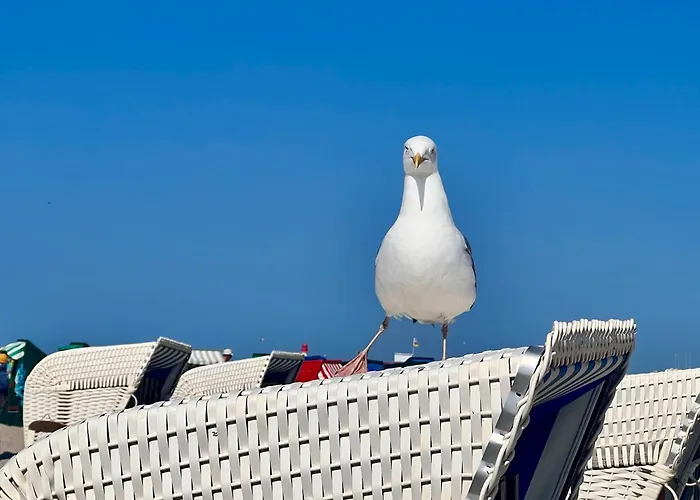 Zuhause Am Meer Mit Sonnenbalkon In Strand- Und Altstadtnaehe